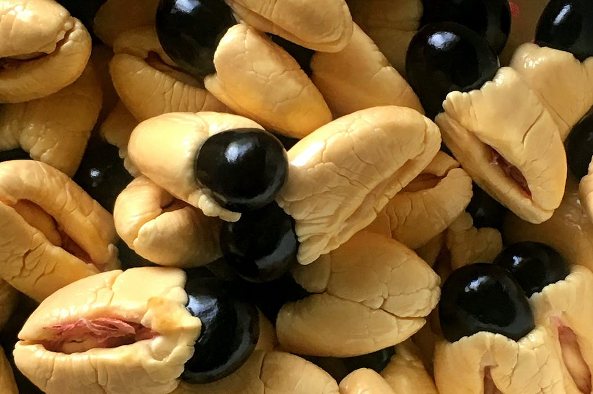 Ackee Seed Photo by Godserv Designs